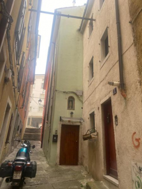 Richard’s bow house Trieste